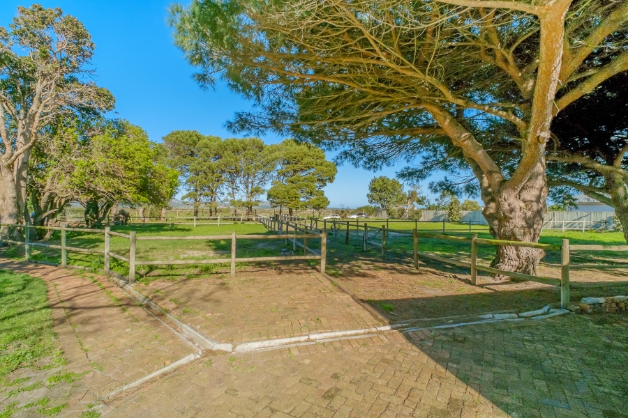 0 Bedroom Property for Sale in Chapman